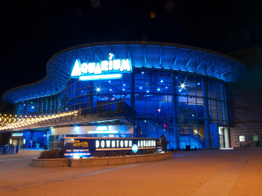 Denver Downtown Aquarium
